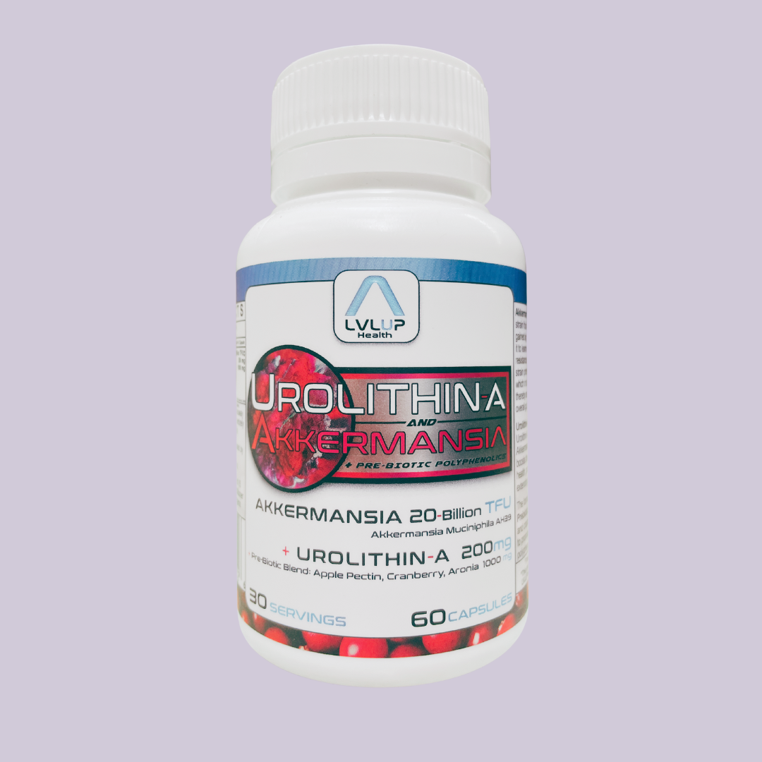 LVLUP Urolithina & Akkermansia