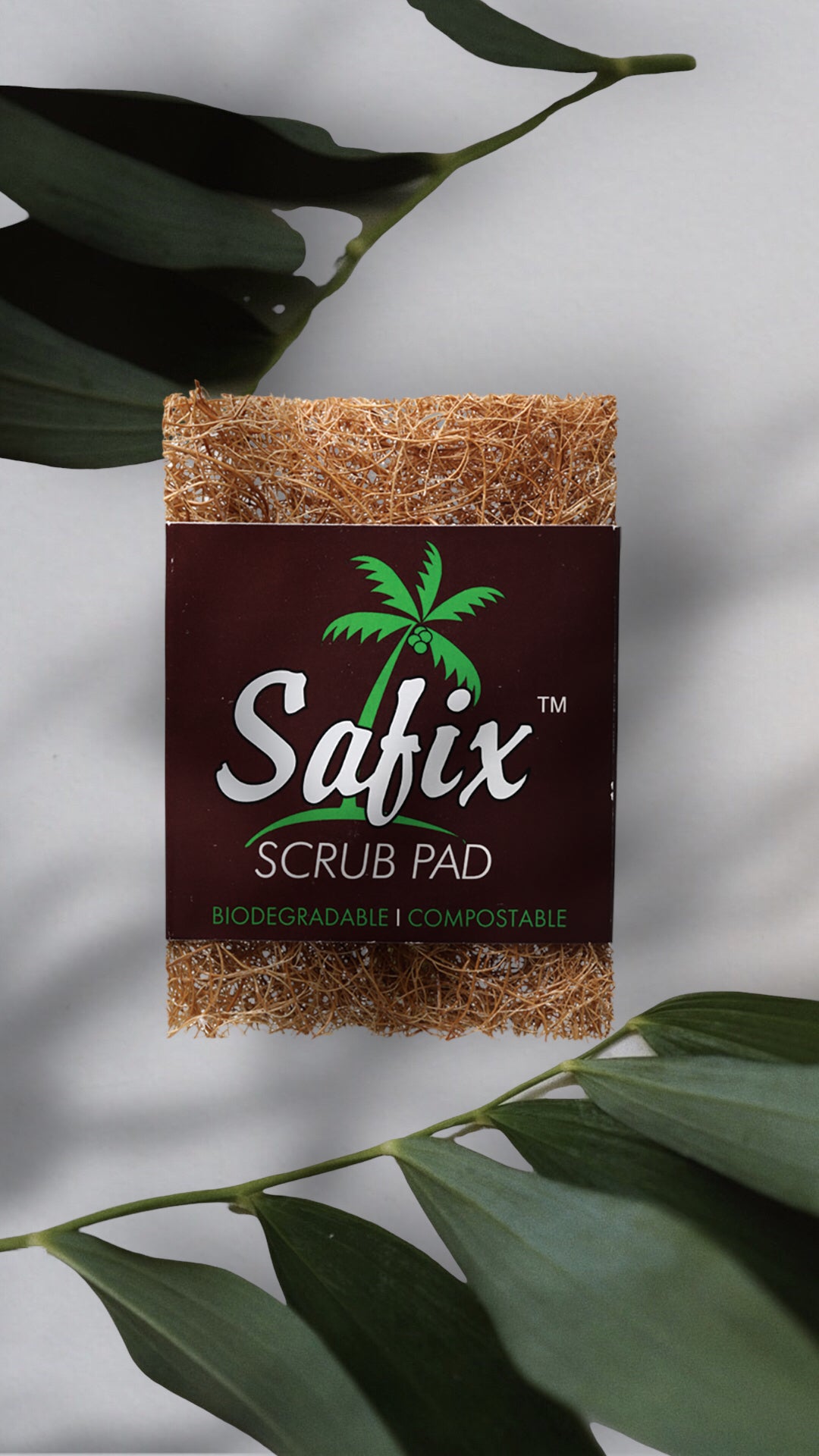 Safix Coconut Scourer